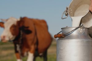 Salumi naturali, Slow Food e Istituto Zooprofilattico Sperimentale a fianco dei piccoli produttori