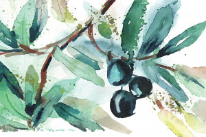 Nasce &ldquo;Aristoil Plus&rdquo;: quattro Paesi uniti per diffondere i benefici salutistici dell&rsquo;olio Evo