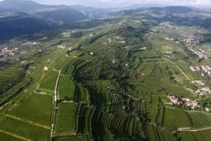 La storia di 13 grandi famiglie, della Valpolicella e del suo Amarone, in un docufilm