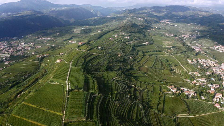 I vigneti terrazzati della Valpolicella, terra dell’Amarone