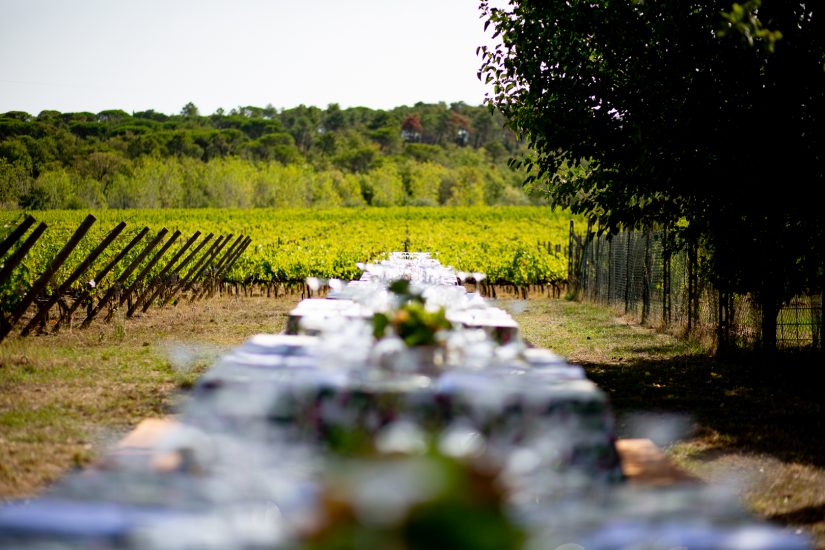 Vendemmie solidali: a Tenuta Sette Ponti con l’Associazione Italiana Persone Down