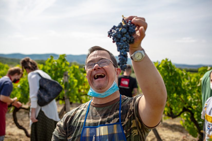 Vendemmie solidali: a Tenuta Sette Ponti con l’Associazione Italiana Persone Down
