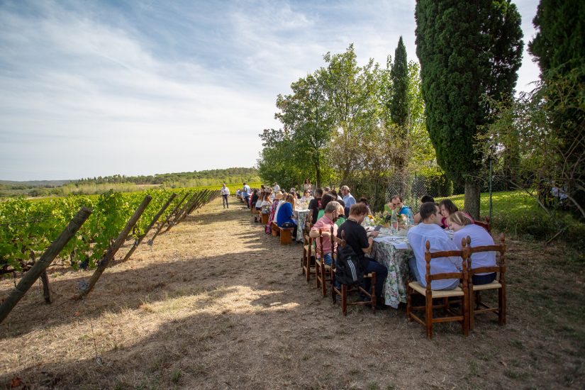 Vendemmie solidali: a Tenuta Sette Ponti con l’Associazione Italiana Persone Down