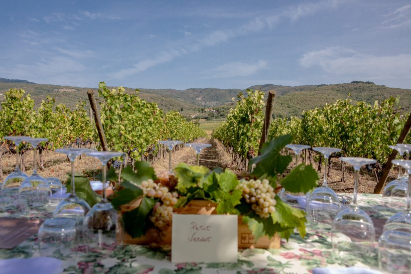 Vendemmie solidali: a Tenuta Sette Ponti con l’Associazione Italiana Persone Down