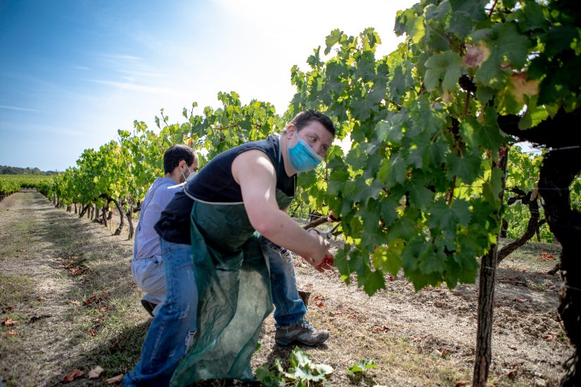Vendemmie solidali: a Tenuta Sette Ponti con l’Associazione Italiana Persone Down