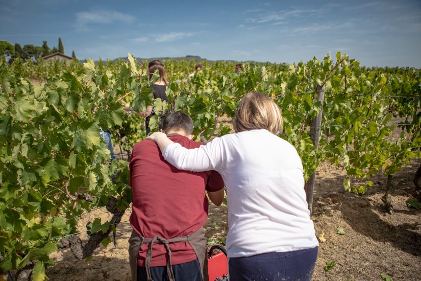 Vendemmie solidali: a Tenuta Sette Ponti con l’Associazione Italiana Persone Down
