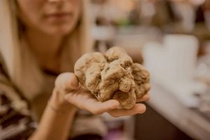 Sulle colline di Alta Langa i viticoltori pianteranno alberi in simbiosi con il tartufo