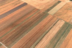 Food System Summit dell’Onu: allarme land grabbing. I terreni fertili in mano ai Paesi ricchi