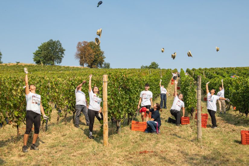 La vendemmia didattica da Braida