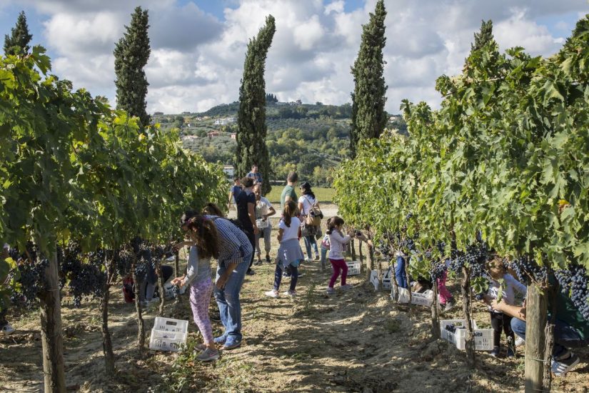 Famiglie protagoniste della “Vendemmia didattica” in Abruzzo 