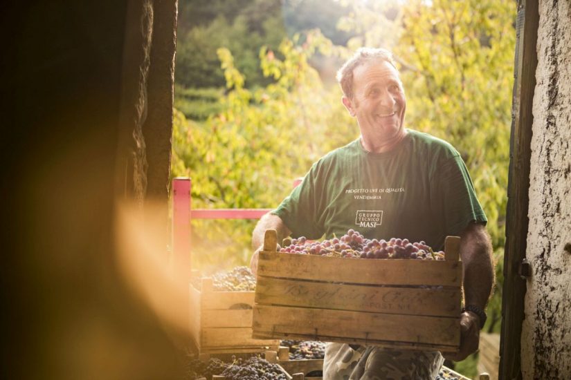 Le Possessioni Serego Alighieri e la vendemmia di Masi