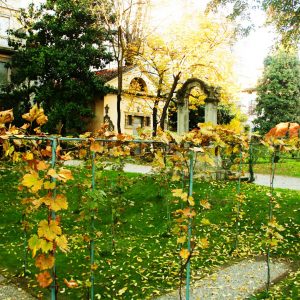 Casa degli Atellani e la &ldquo;Vigna di Leonardo&rdquo; acquistate dal magnate francese Bernard Arnault