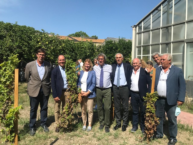 La Vigna del Gallo intitolata a Diego Planeta, padre nobile della viticoltura siciliana