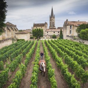 99,6 milioni di euro per la Promozione sui mercati dei Paesi terzi del vino di Francia