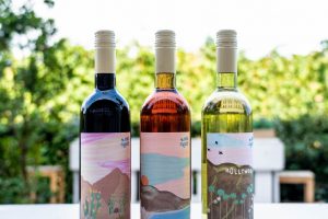 Signorvino, oltre l’enoteca il B2B, e firma i vini della catena Poke House