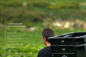 I Vini di WineNews - N. 170