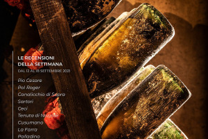 I Vini di WineNews - N. 171