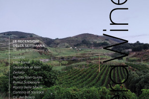 I Vini di WineNews - N. 172