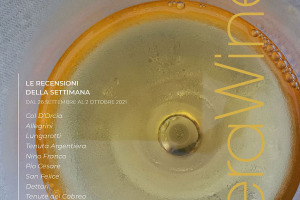 I Vini di WineNews - N. 173