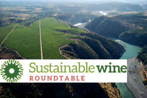 Wine and sustainability: the “Sustainable Wine Roundtable” is born to define a global standard Wine and sustainability: the “Sustainable Wine Roundtable” is born to define a global standard