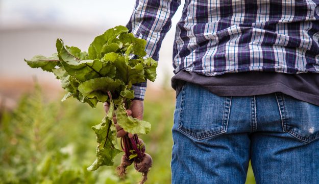 incontrare ragazze single wind