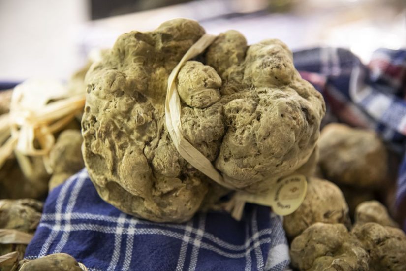 Il tartufo bianco di Alba. Ph: G.Perottino/Getty Images