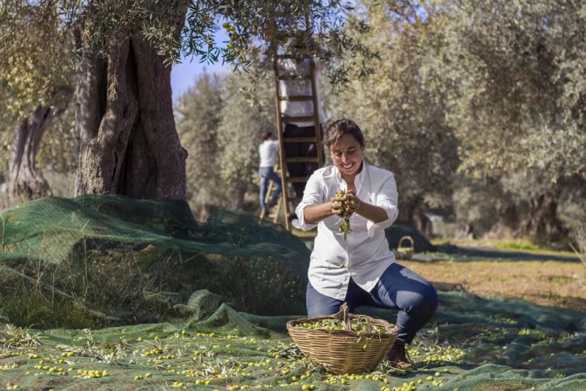 Camminate tra gli olivi e “Frantoi Aperti” (ph: Occhipinti)