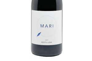 Bentu Luna, Doc Mandrolisai Rosso Mari 2019