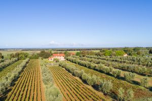 Bolgheri: lo specchio dell’Italia che vorremmo