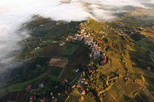 “La vite è bella - I paesi della vigna e del vino”: se ne parla a Calosso (Asti)