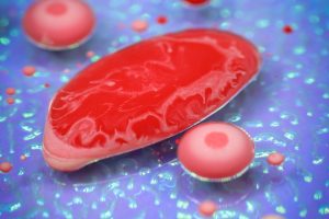 Scarsità, vivibilità, alimentabilità: le risposte da innovazione tecnologica e agri-food 