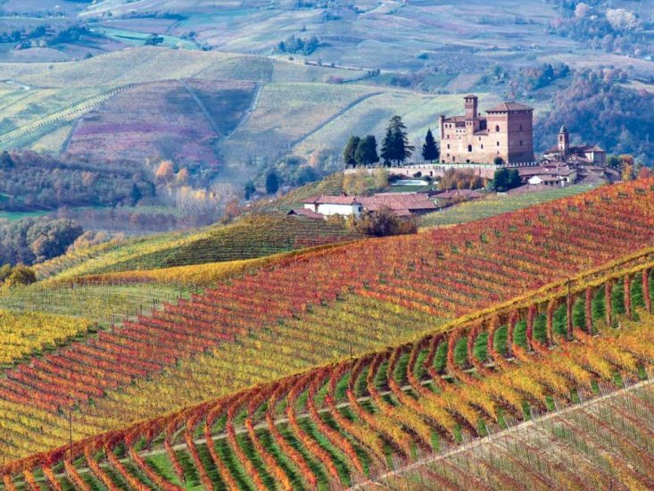 Aspettando “Barolo en Primeur” al Castello di Grinzane