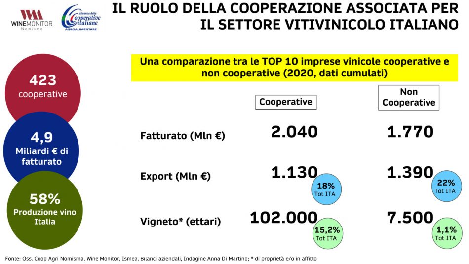 La sostenibilità al centro di Vivite, il focus sul vino di Alleanza delle Cooperative