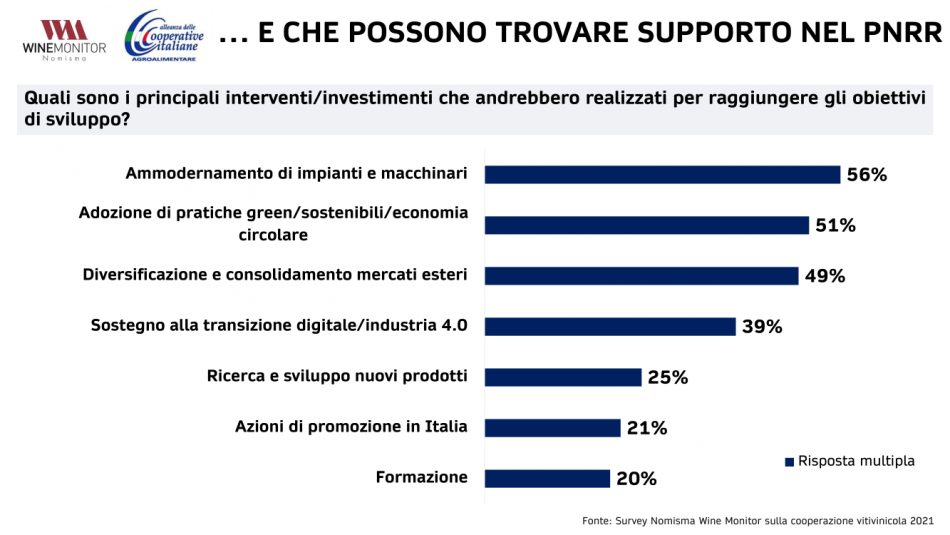 La sostenibilità al centro di Vivite, il focus sul vino di Alleanza delle Cooperative
