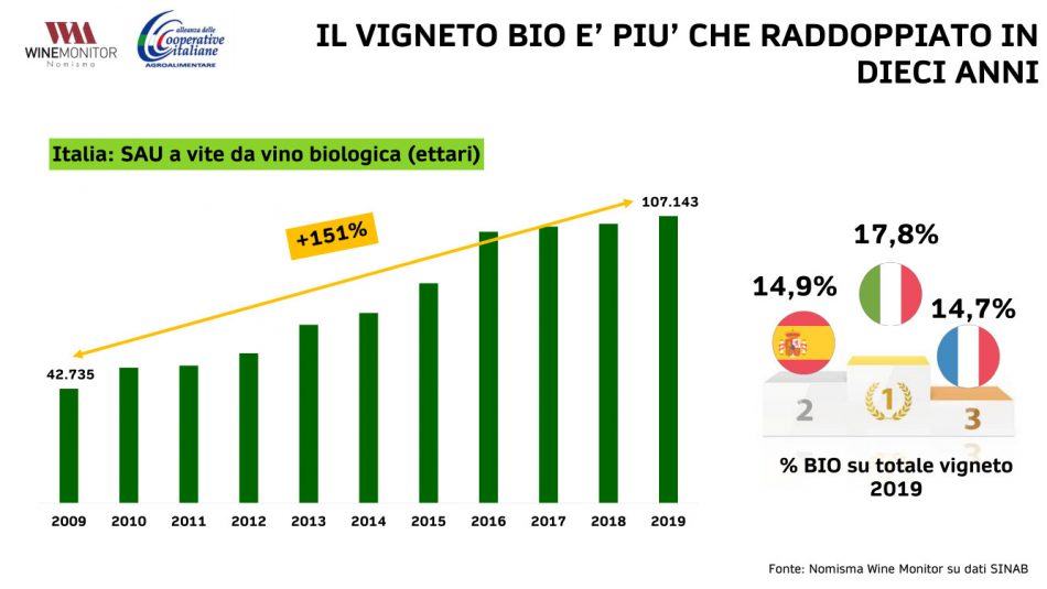 La sostenibilità al centro di Vivite, il focus sul vino di Alleanza delle Cooperative