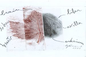 Si veste d’arte la solidarietà enoica di “Barolo en primeur 2021” (il 30 ottobre a Grinzane Cavour)