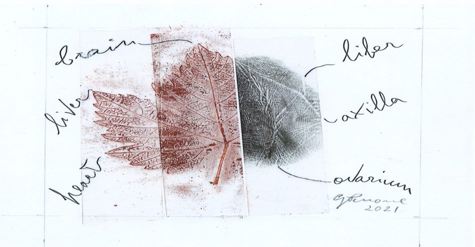 I disegni di Giuseppe Penone per il progetto “Barolo en primeur 2021” 