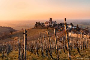 L’Oltrepò Pavese guarda alla Borgogna per disegnare il futuro del Pinot Nero L’Oltrepò Pavese guarda alla Borgogna per disegnare il futuro del Pinot Nero