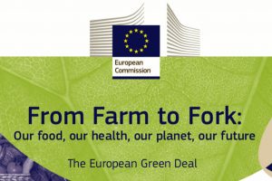 Politica Agricola Europea, il Parlamento Ue approva la strategia &ldquo;Farm To Fork&rdquo;