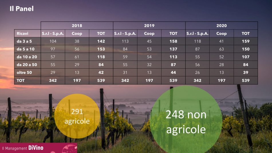 Il 2020 del vino italiano “ai raggi x” secondo lo studio “Management DiVino”