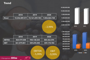 2020 of Italian wine “x-rayed”: small and large wineries doing well, the “middle ground” does not