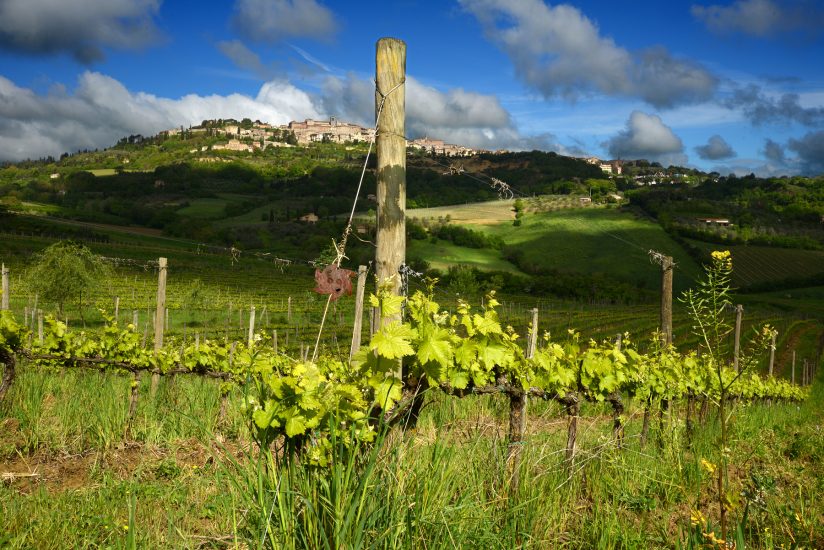 10 anni di sostenibilità firmati Salcheto, la prima cantina off-grid d’Europa