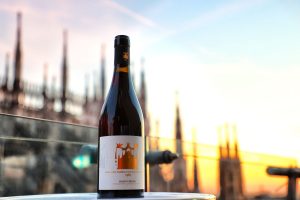 “Vino del Duomo”, altre 18.000 bottiglie firmate “La Collina dei Ciliegi” per il Duomo di Milano