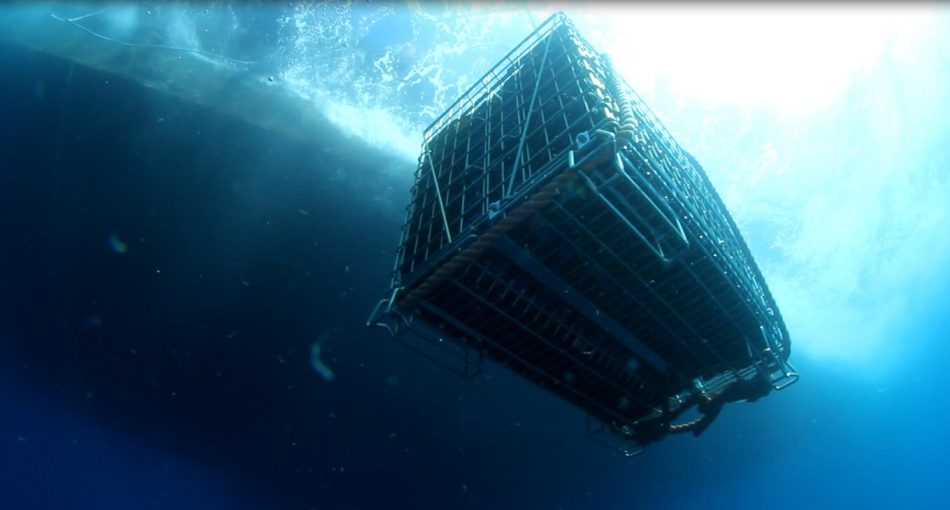 Il cantinamento subacqueo di Jamin