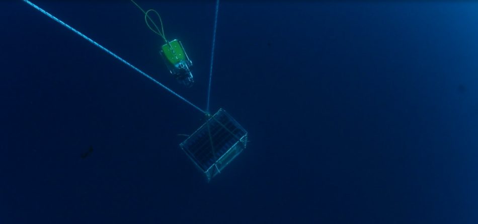 Il cantinamento subacqueo di Jamin