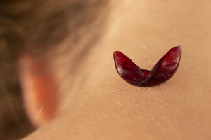 Zenato: il vino in mostra, raccontato in maniera nuova ed originale dalla fotografia