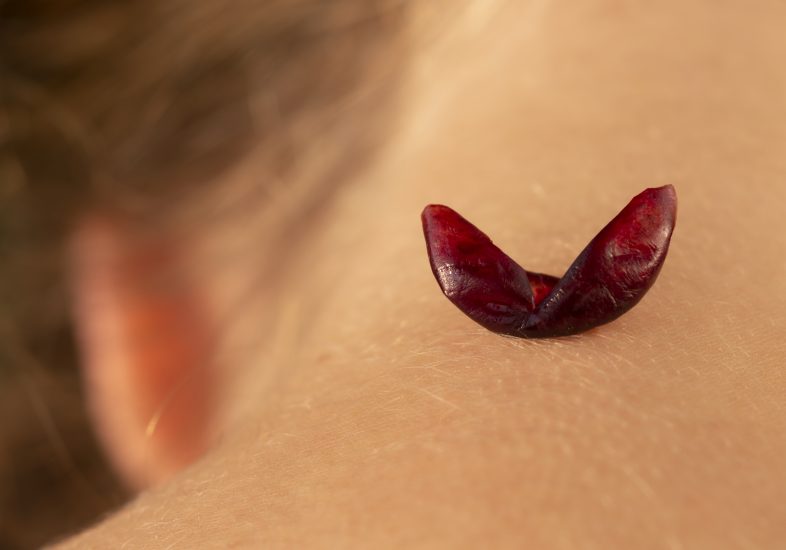 Zenato ed il “Vino. Oltre il paesaggio”. La nuova mostra fotografica nel progetto Zenato Academy