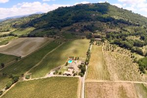 “Top 100” 2021 by “Wine Spectator”: il Brunello di Montalcino 2016 “Le Chiuse” al n. 5