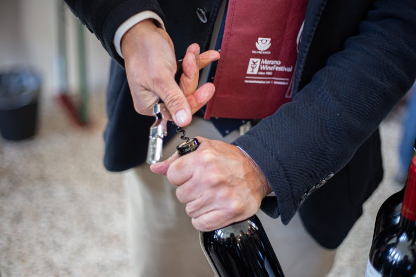 Il vino italiano “Le ali della bellezza”, dal “Merano Wine Festival”