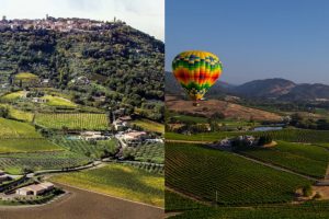 Napa and Montalcino, different but “twins” in the name of wine